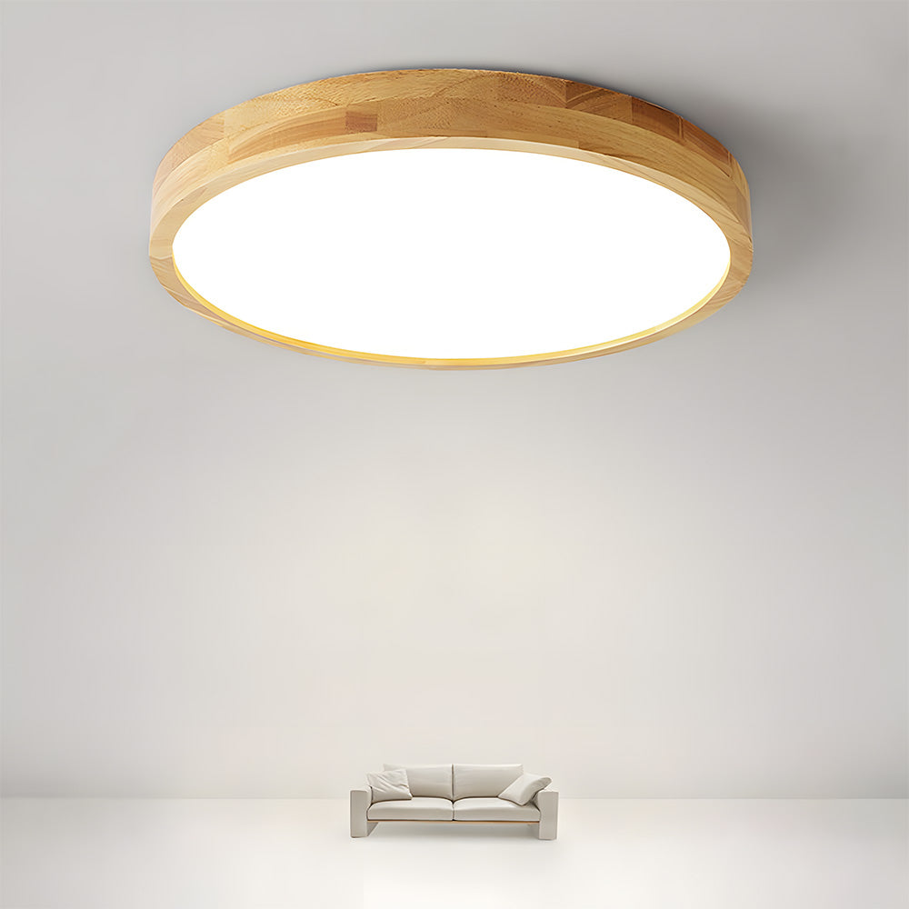 Erlivon Plafondlamp