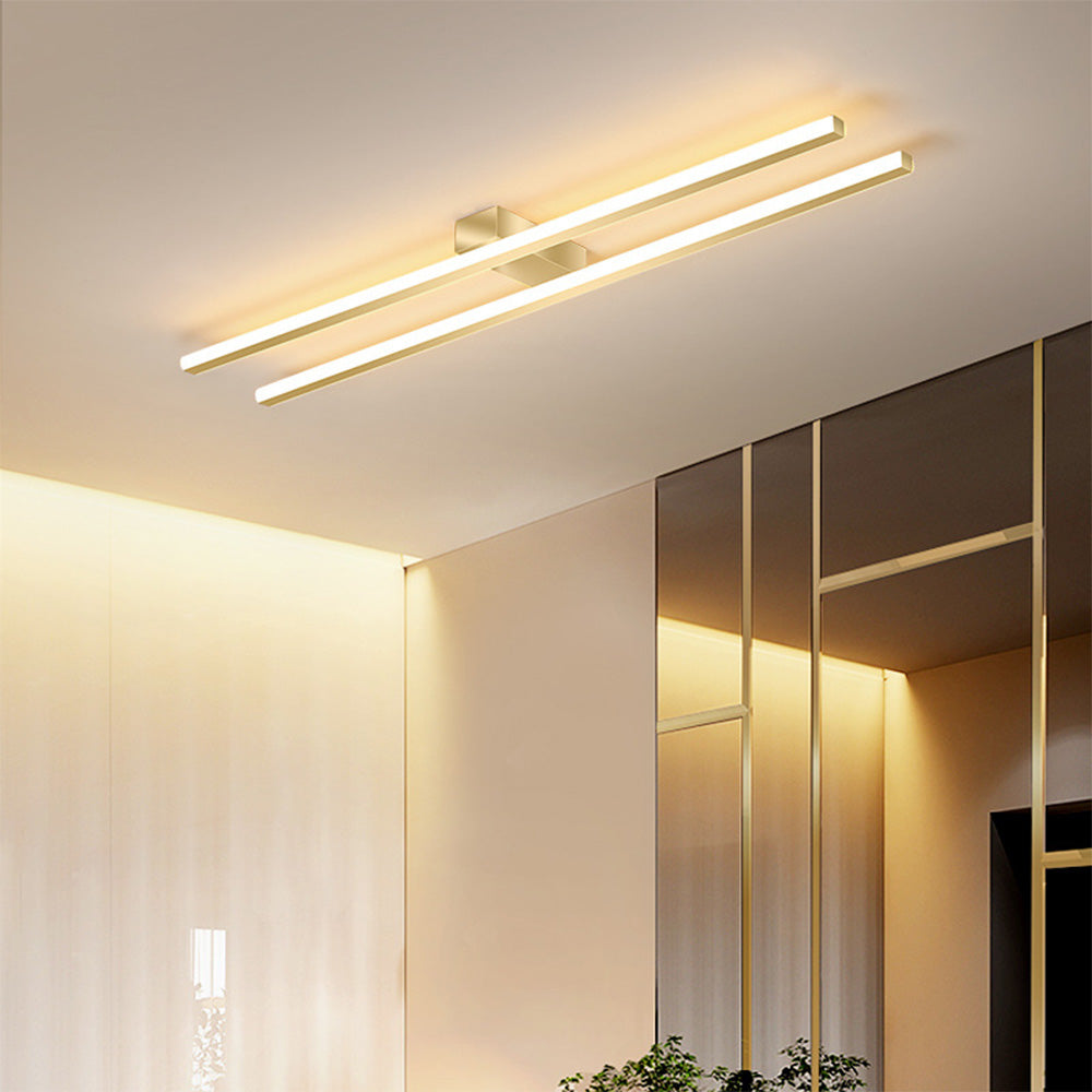 DuoLine Plafondlamp