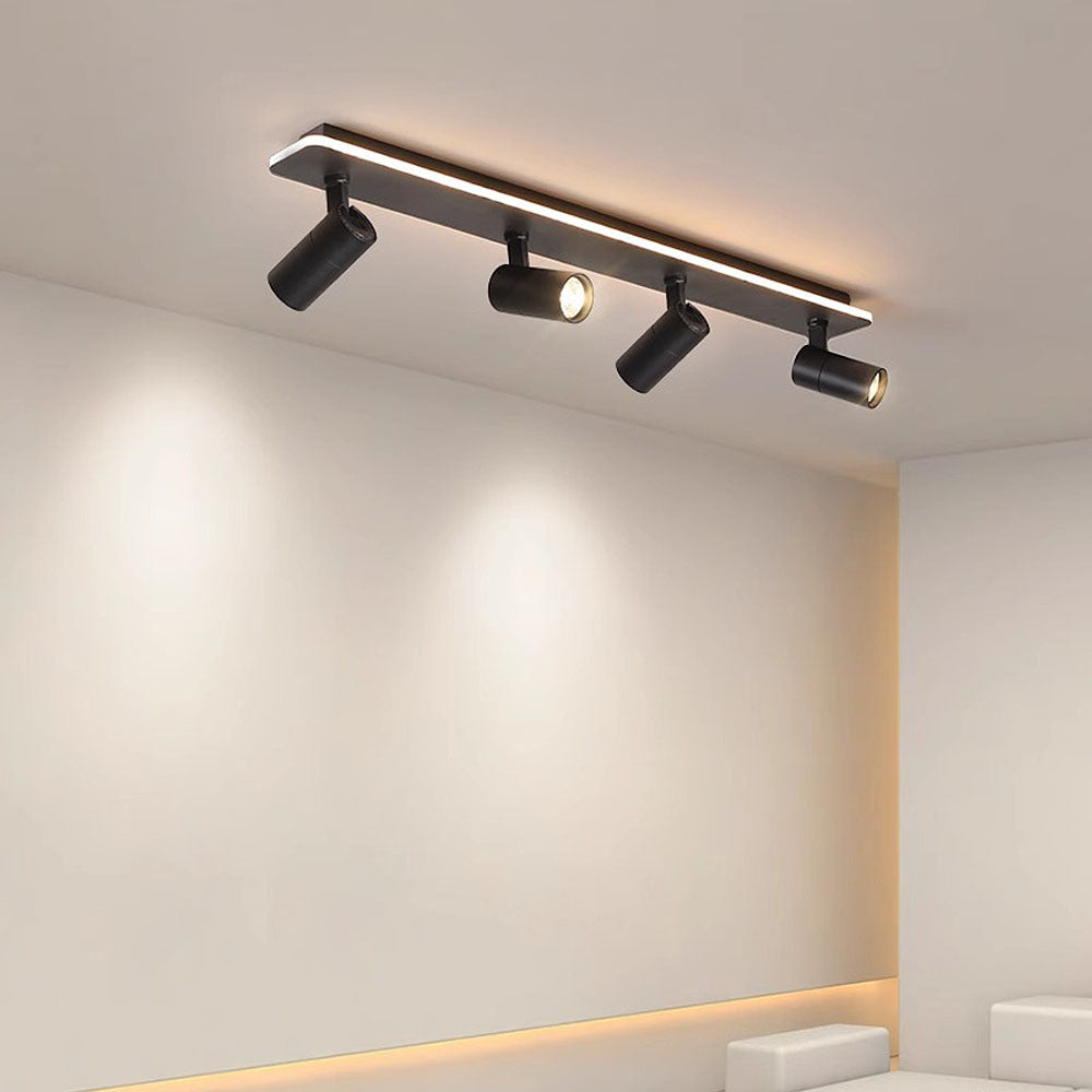 Triccon Plafondlamp