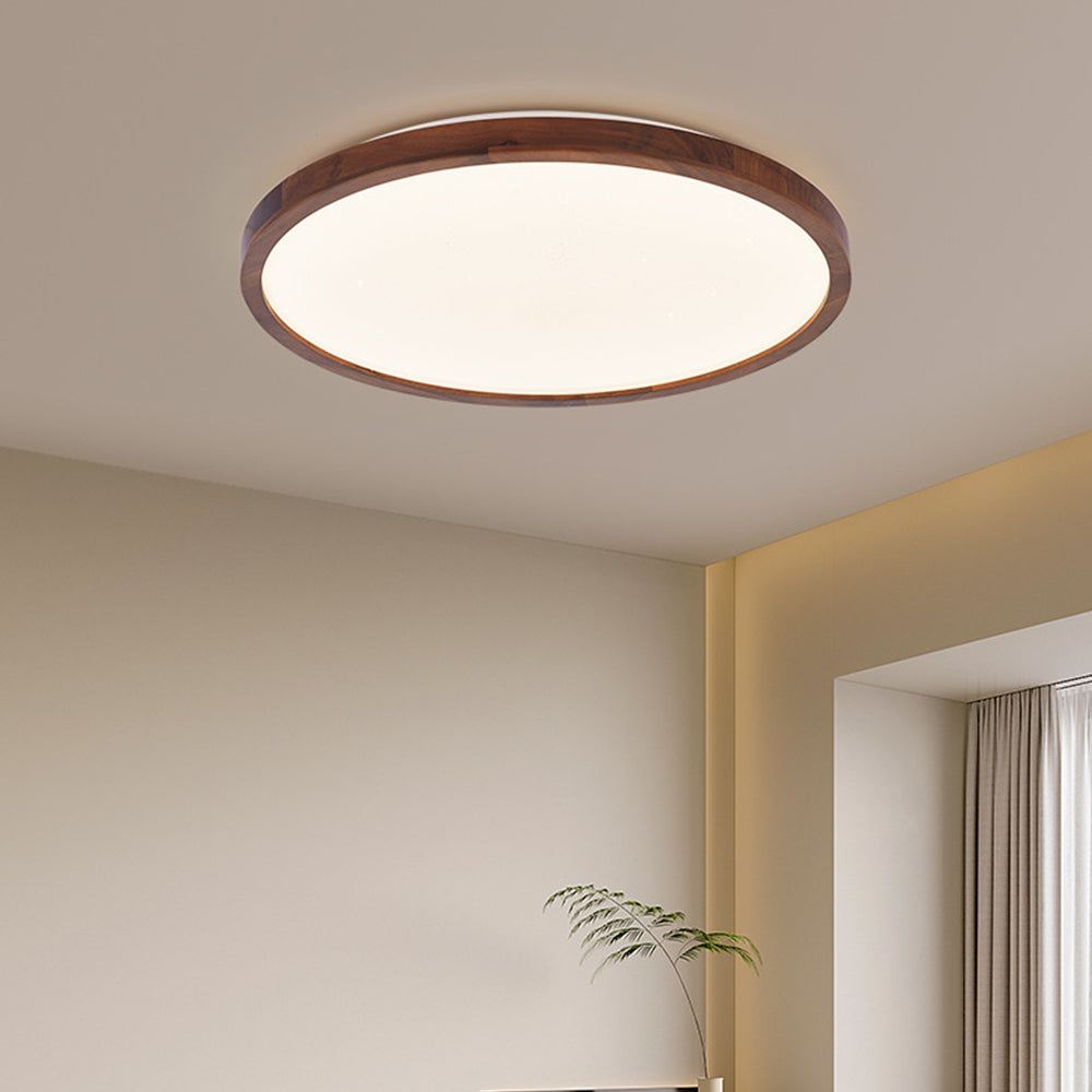 Tenzio Maanontwerp Plafondlamp