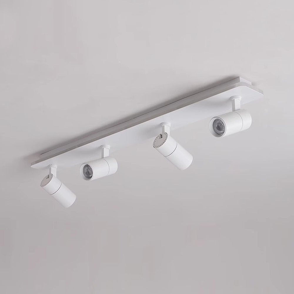 Triccon Plafondlamp