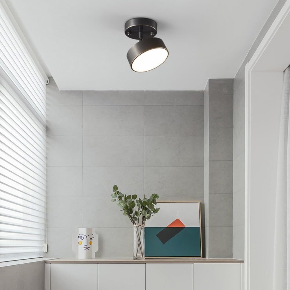 Niznaro Plafondlamp