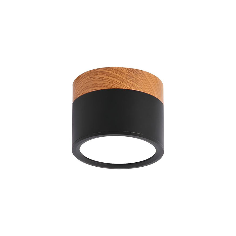 Cylinder Kleine Plafondlamp