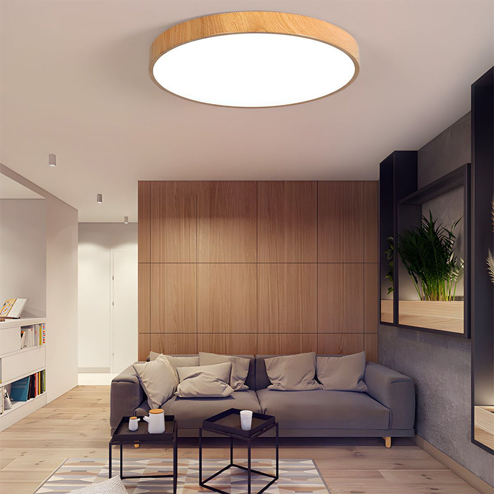 Concize Disc Plafondlamp