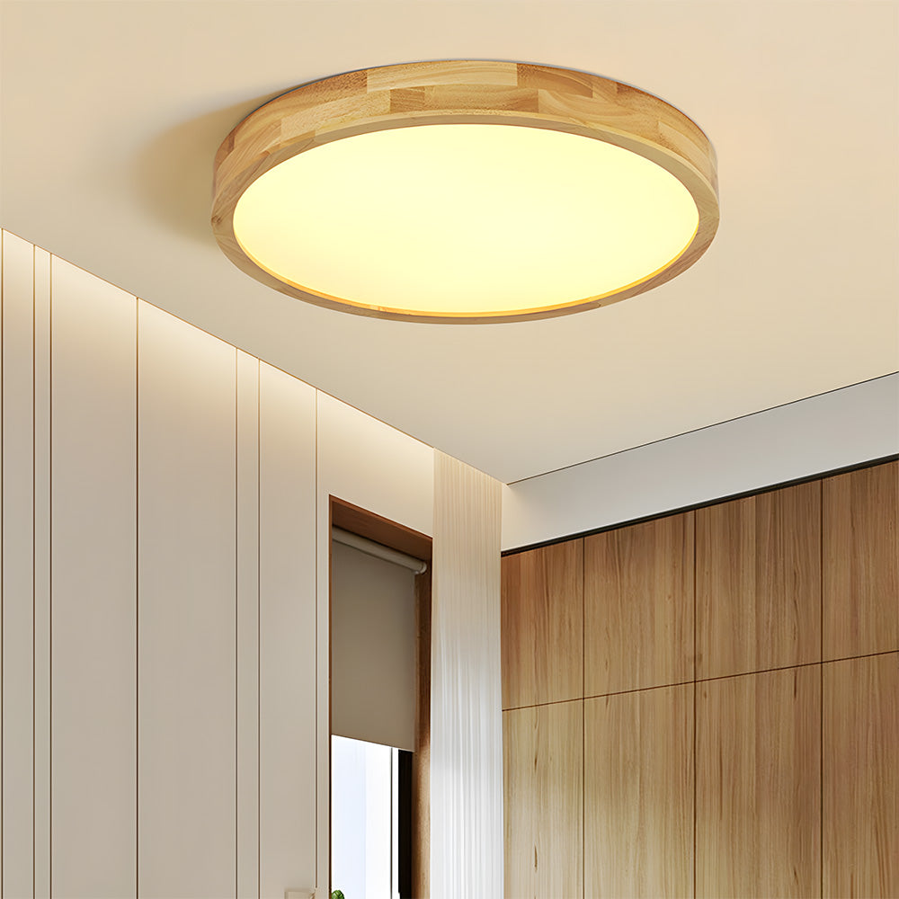 Erlivon Plafondlamp
