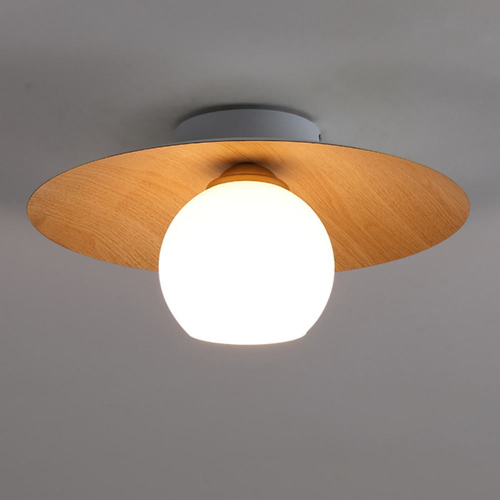 Entaro Plafondlamp