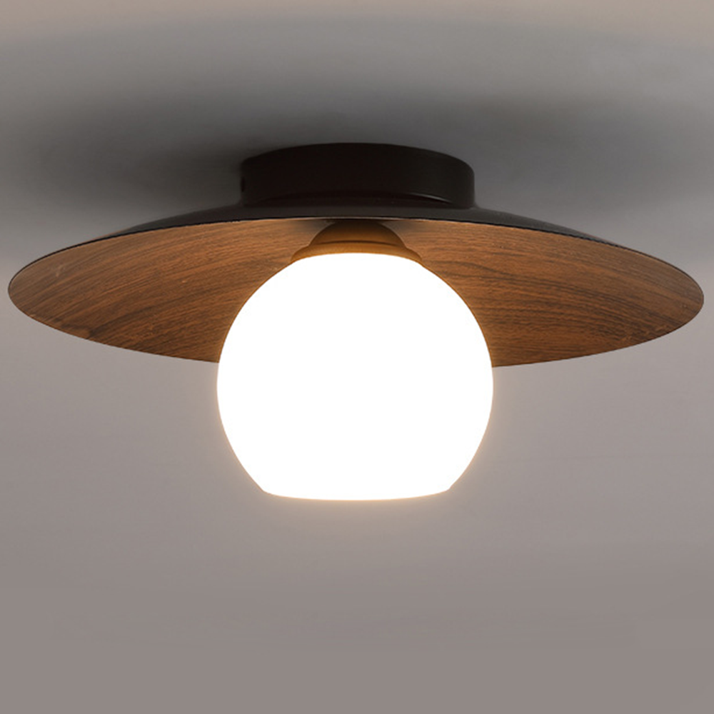 Entaro Plafondlamp