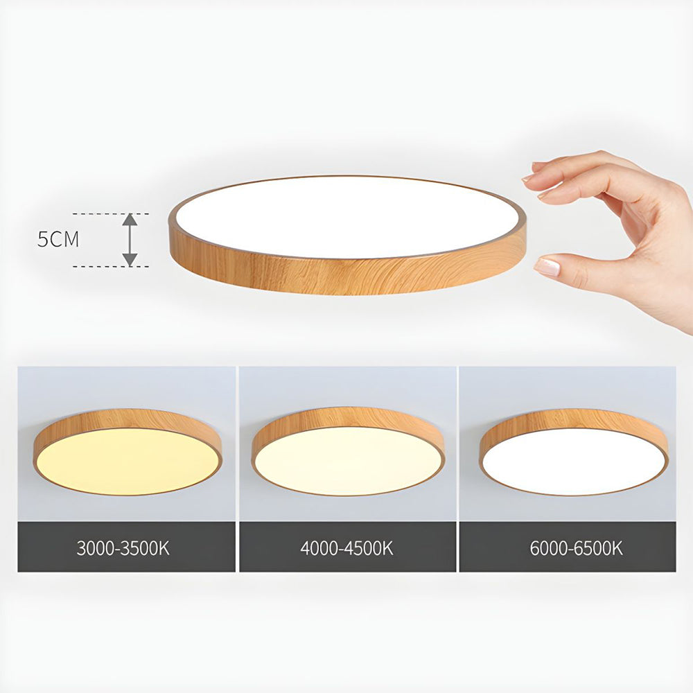 Concize Disc Plafondlamp