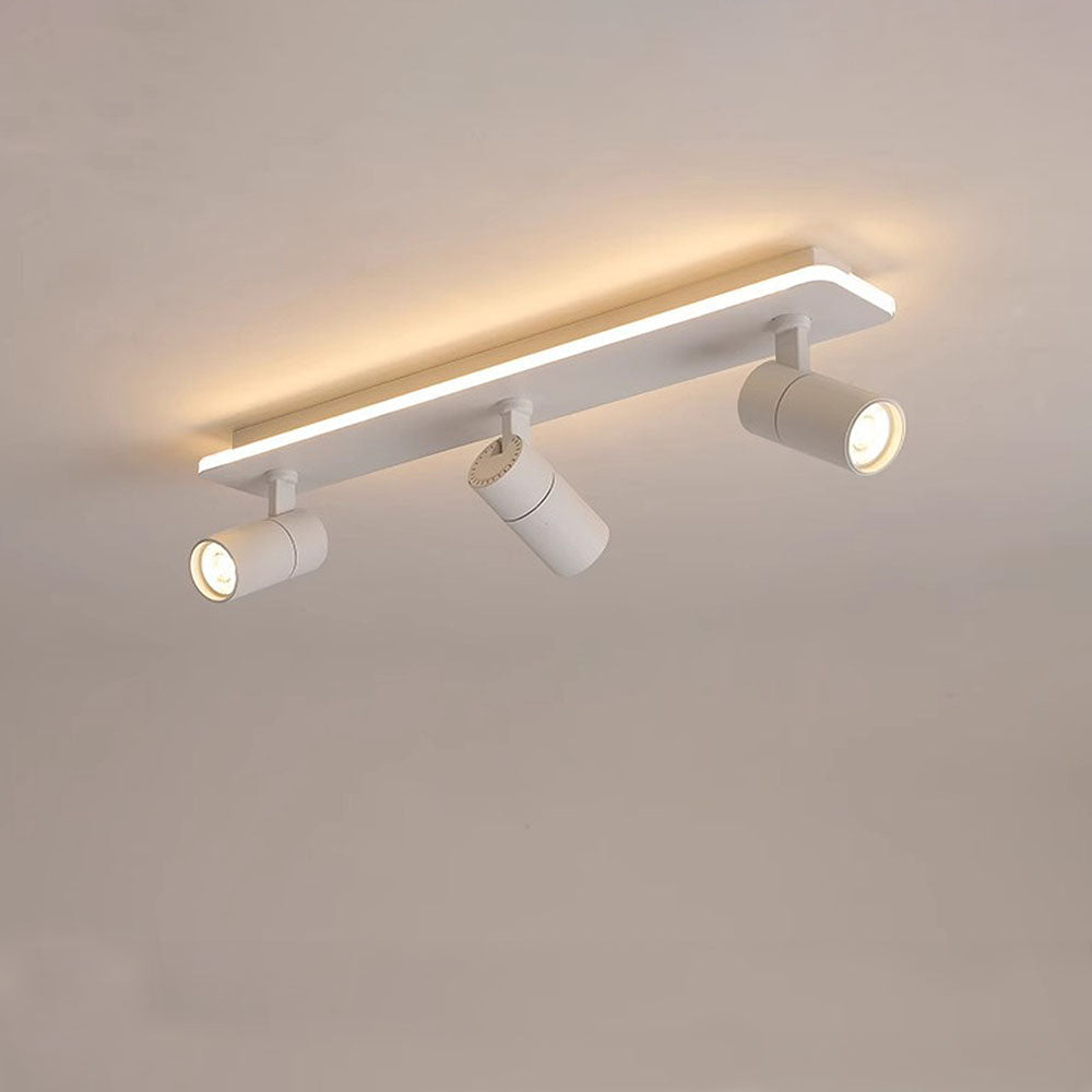 Triccon Plafondlamp