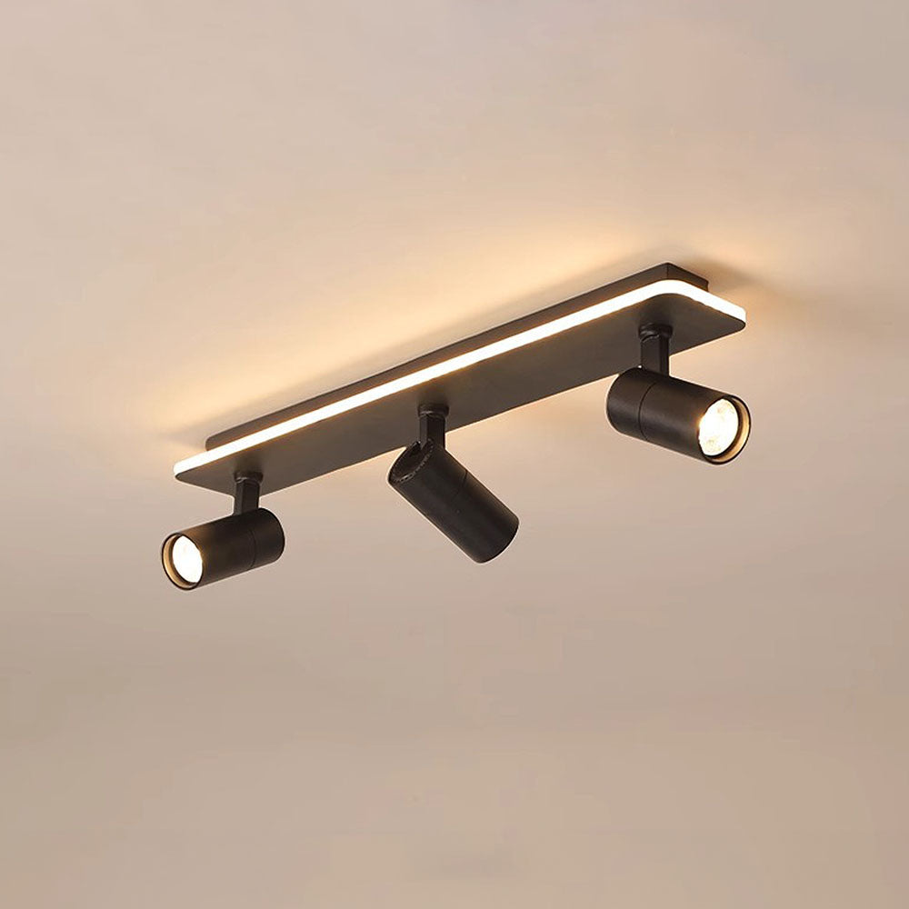 Triccon Plafondlamp