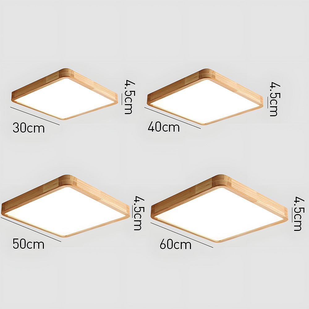 Erlivon Plafondlamp