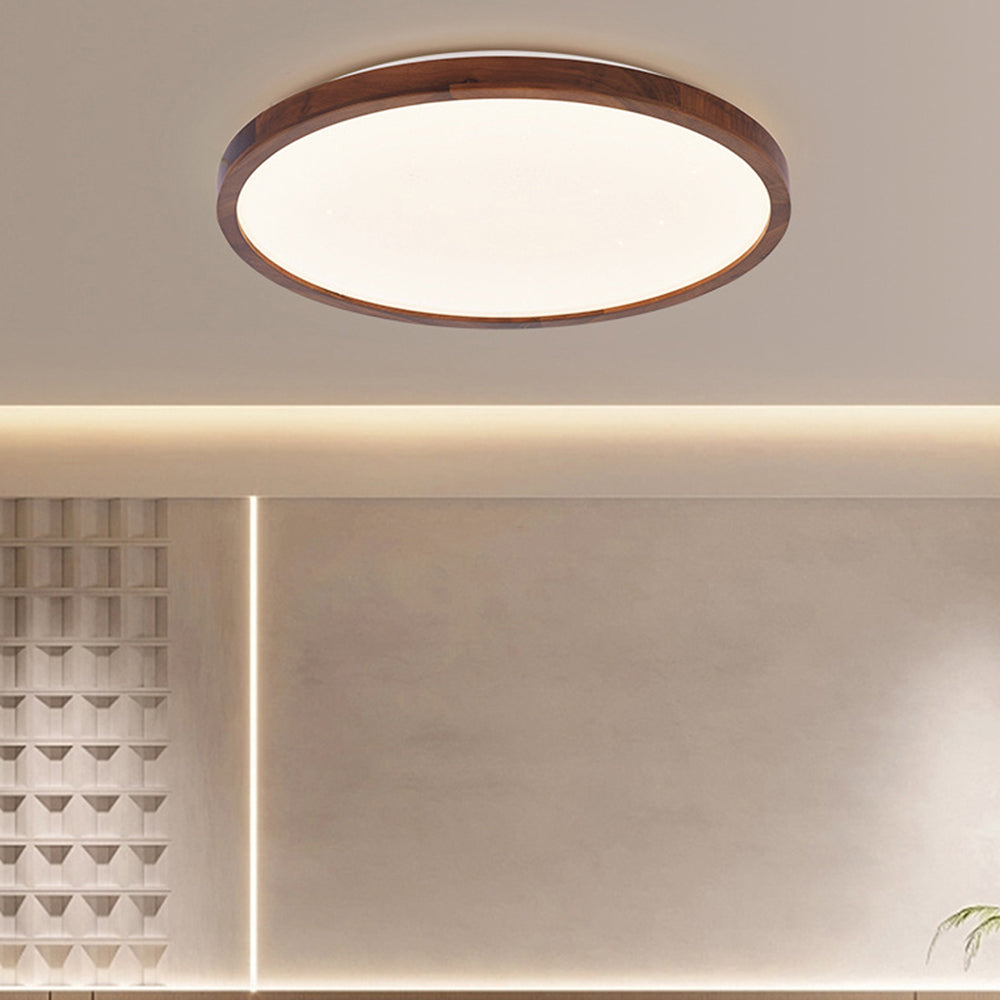 Tenzio Maanontwerp Plafondlamp