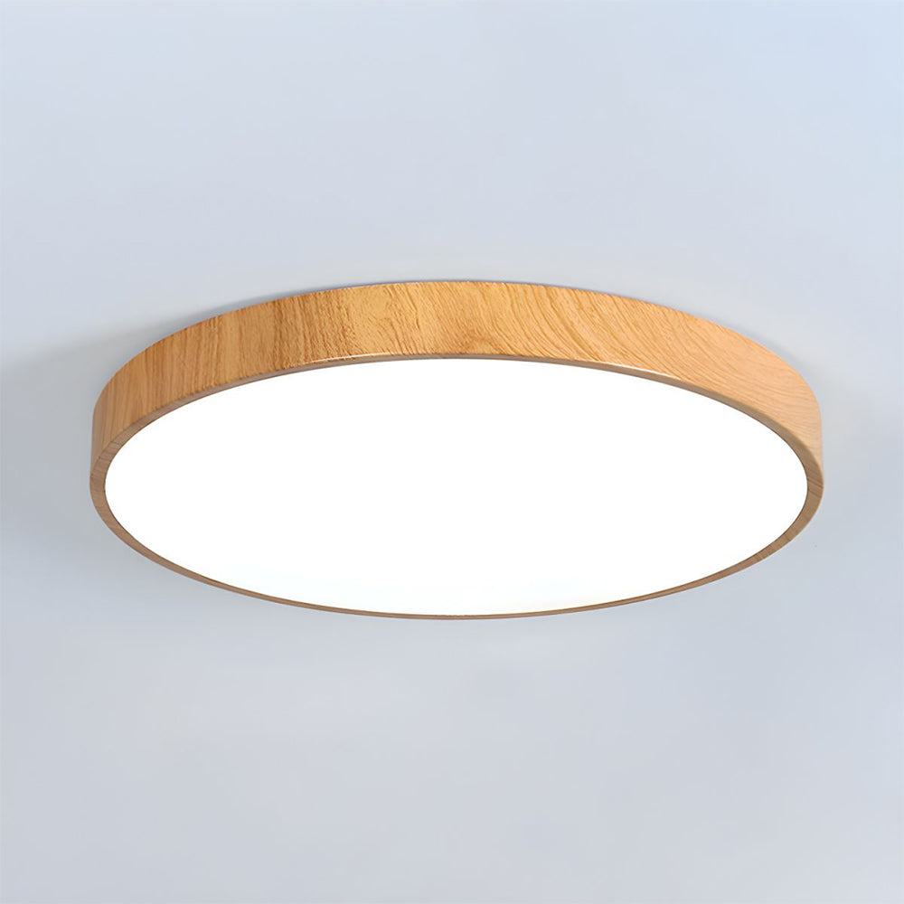 Concize Disc Plafondlamp