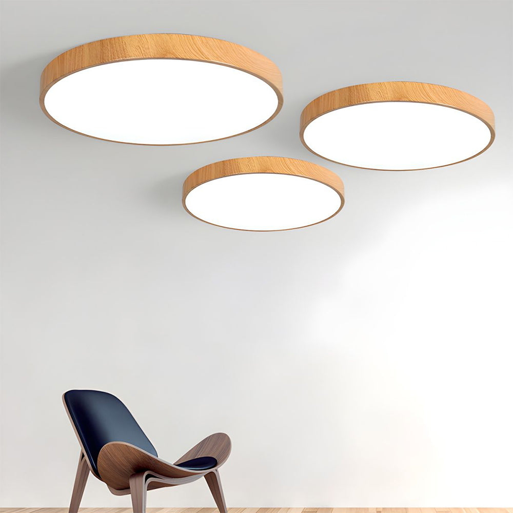Concize Disc Plafondlamp