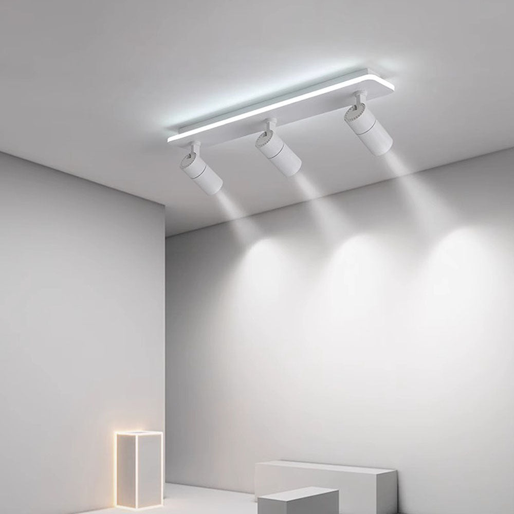 Triccon Plafondlamp