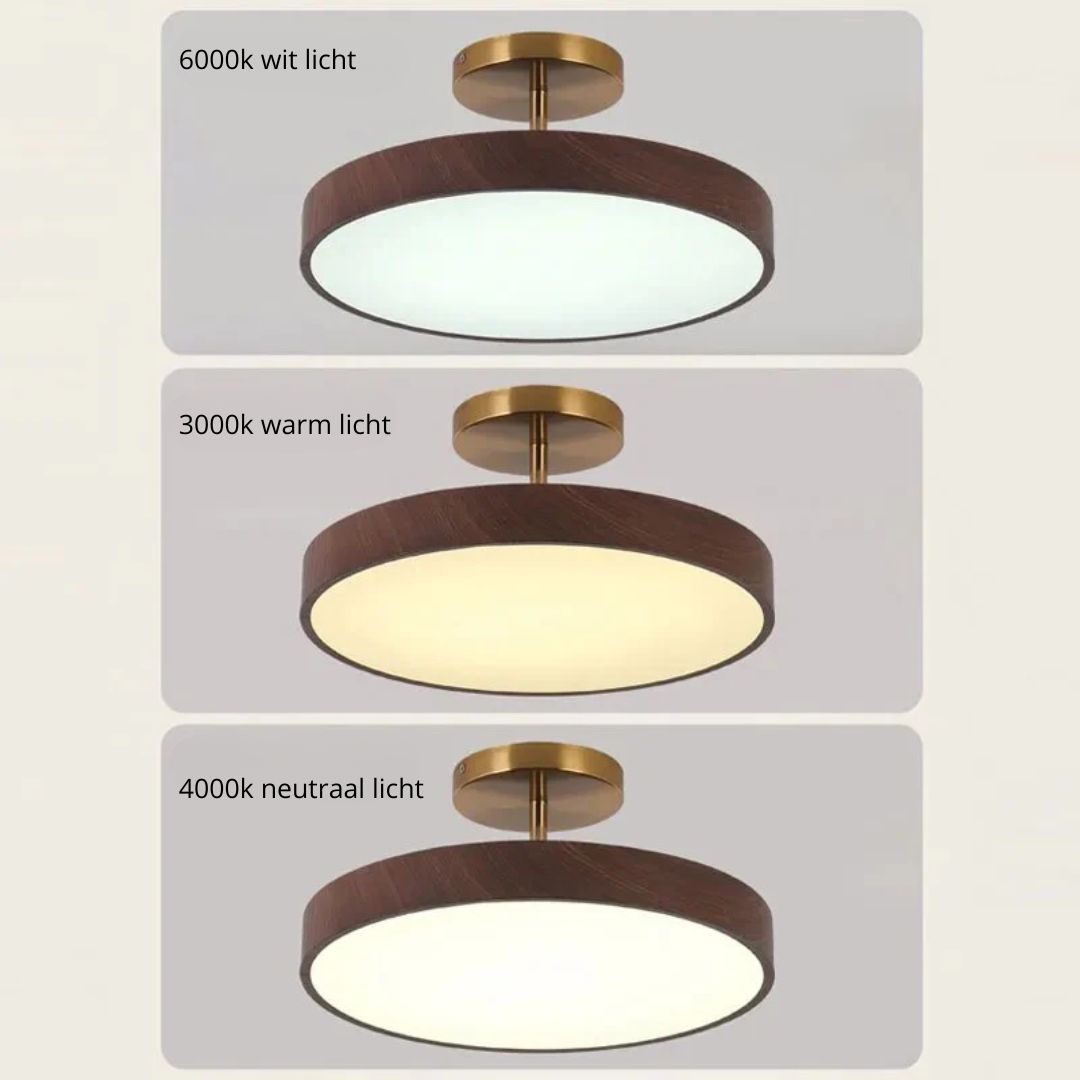 Sinton Plafondlamp