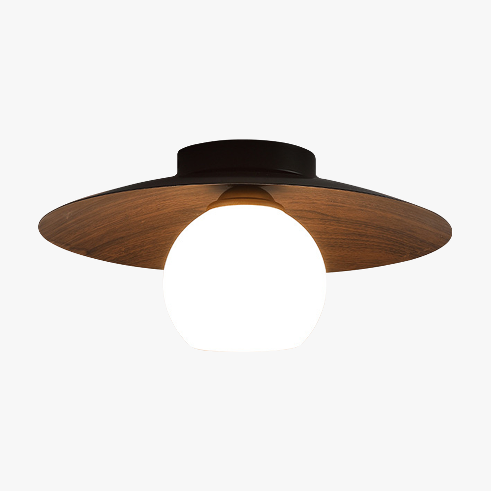 Entaro Plafondlamp