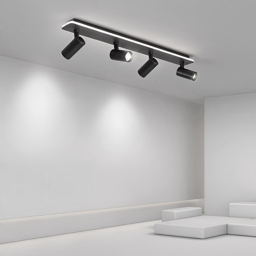Triccon Plafondlamp