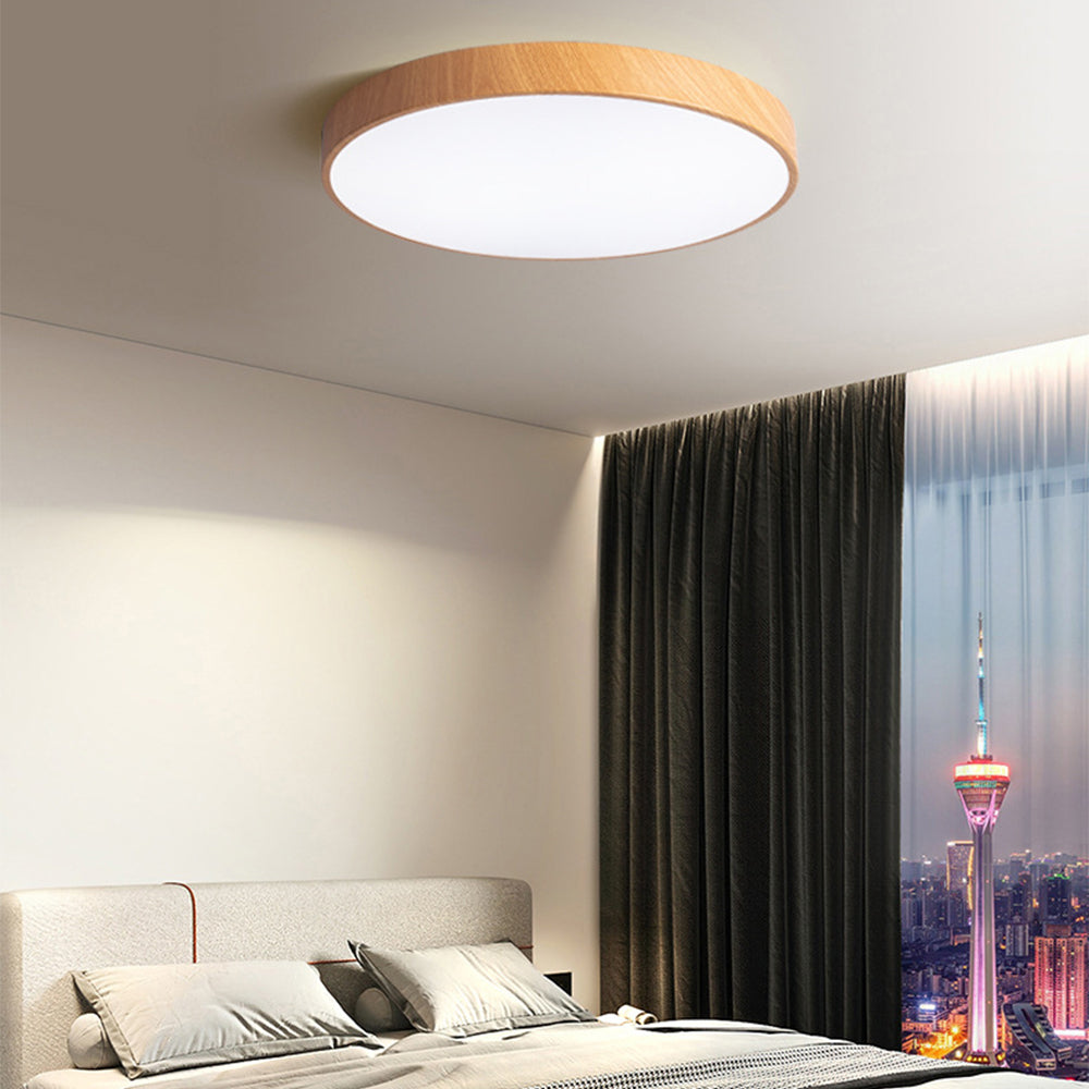 Concize Disc Plafondlamp