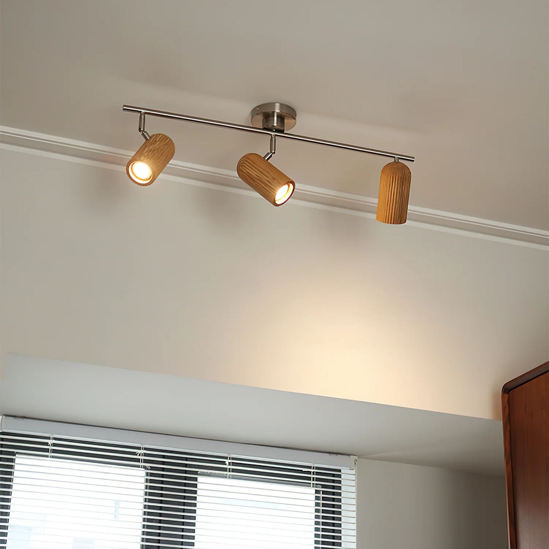 Trevizo Plafondlamp