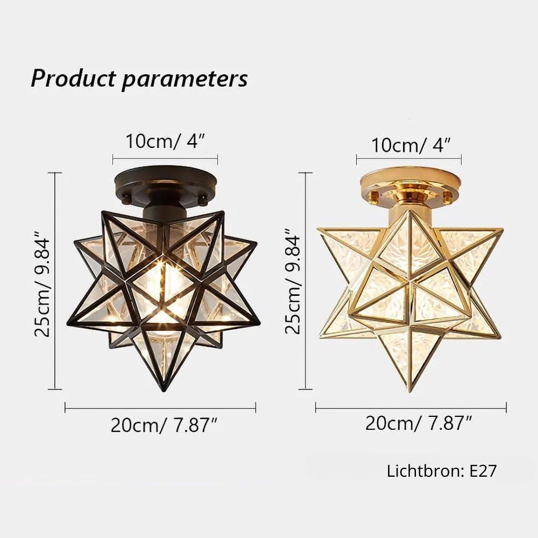 Pinlo Stervorm Plafondlamp