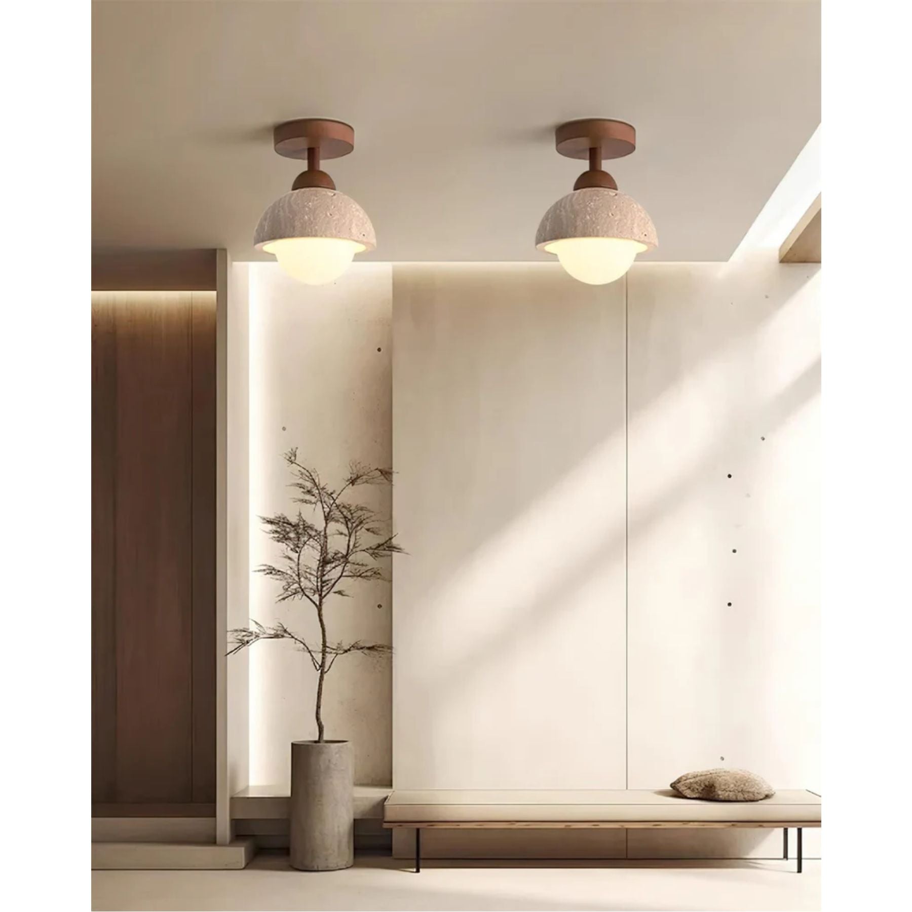 Delvoro Plafondlamp