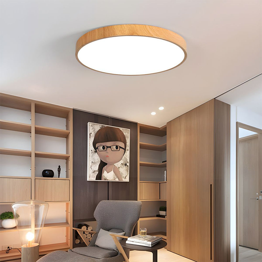 Concize Disc Plafondlamp