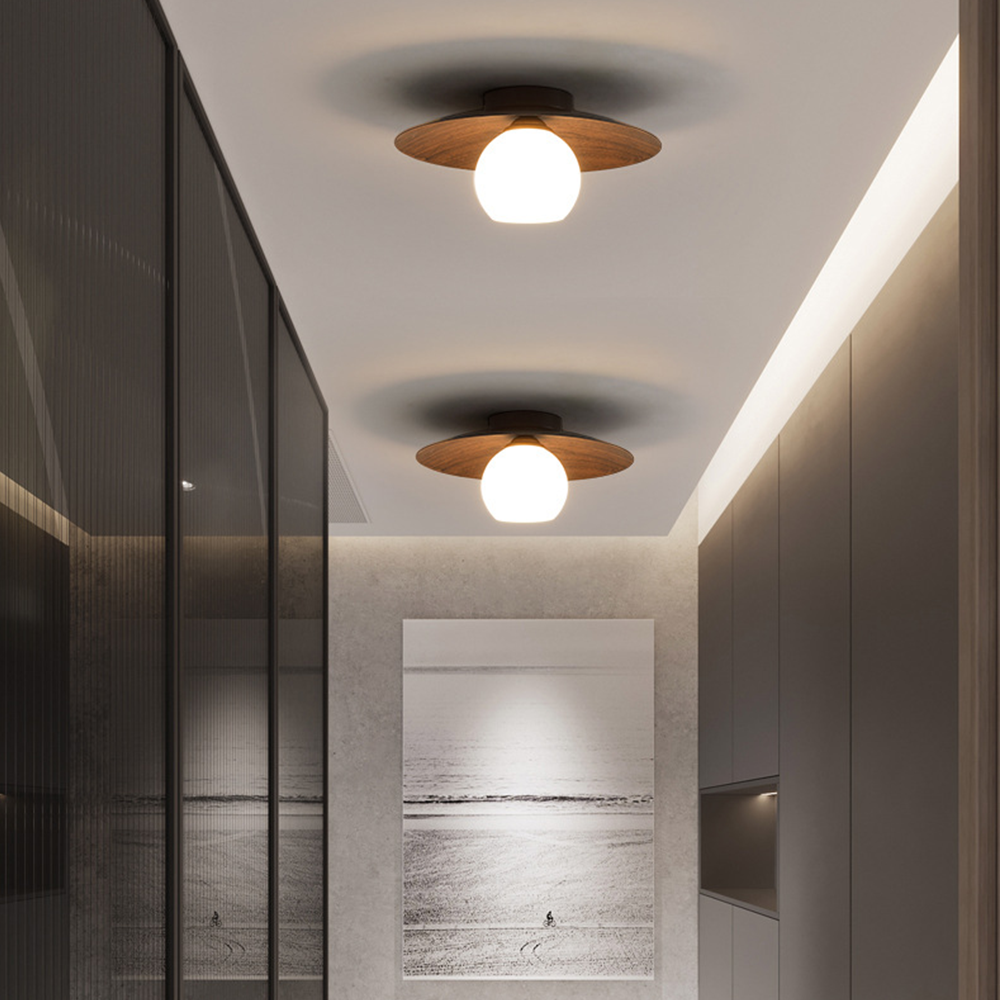 Entaro Plafondlamp
