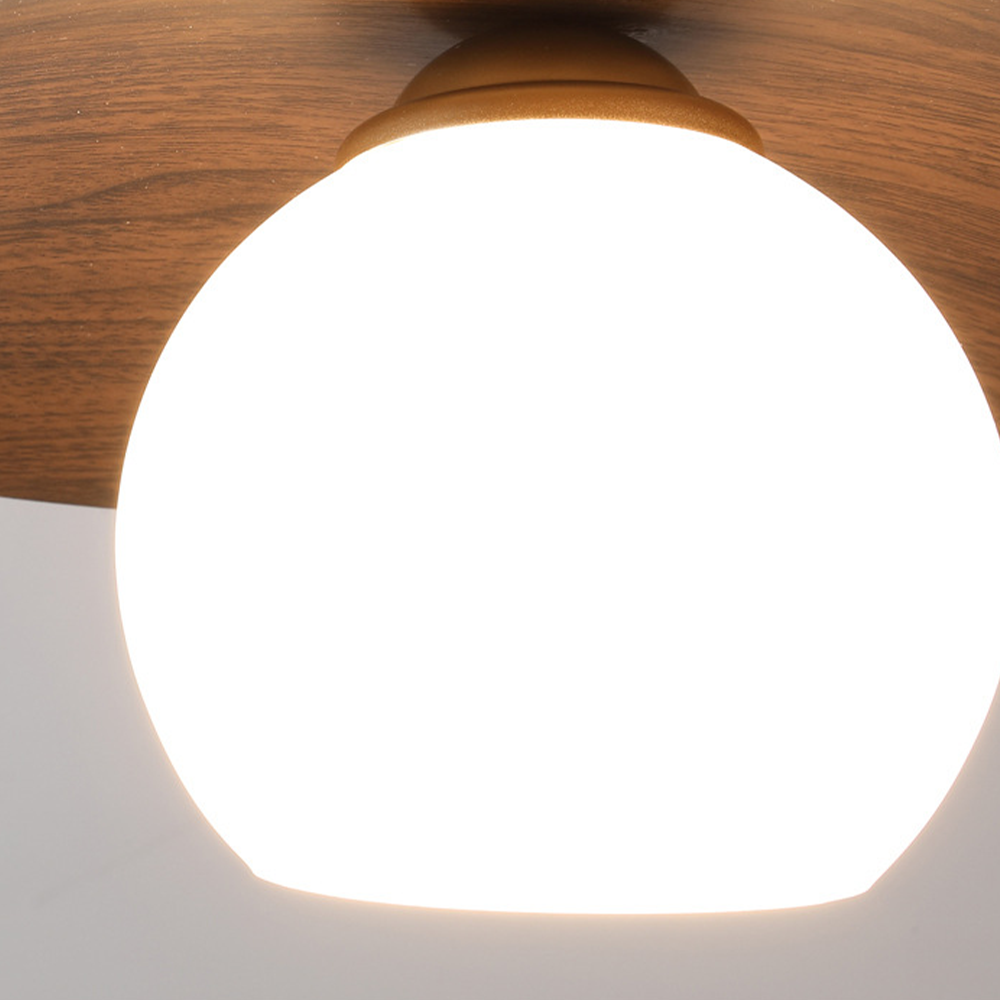 Entaro Plafondlamp
