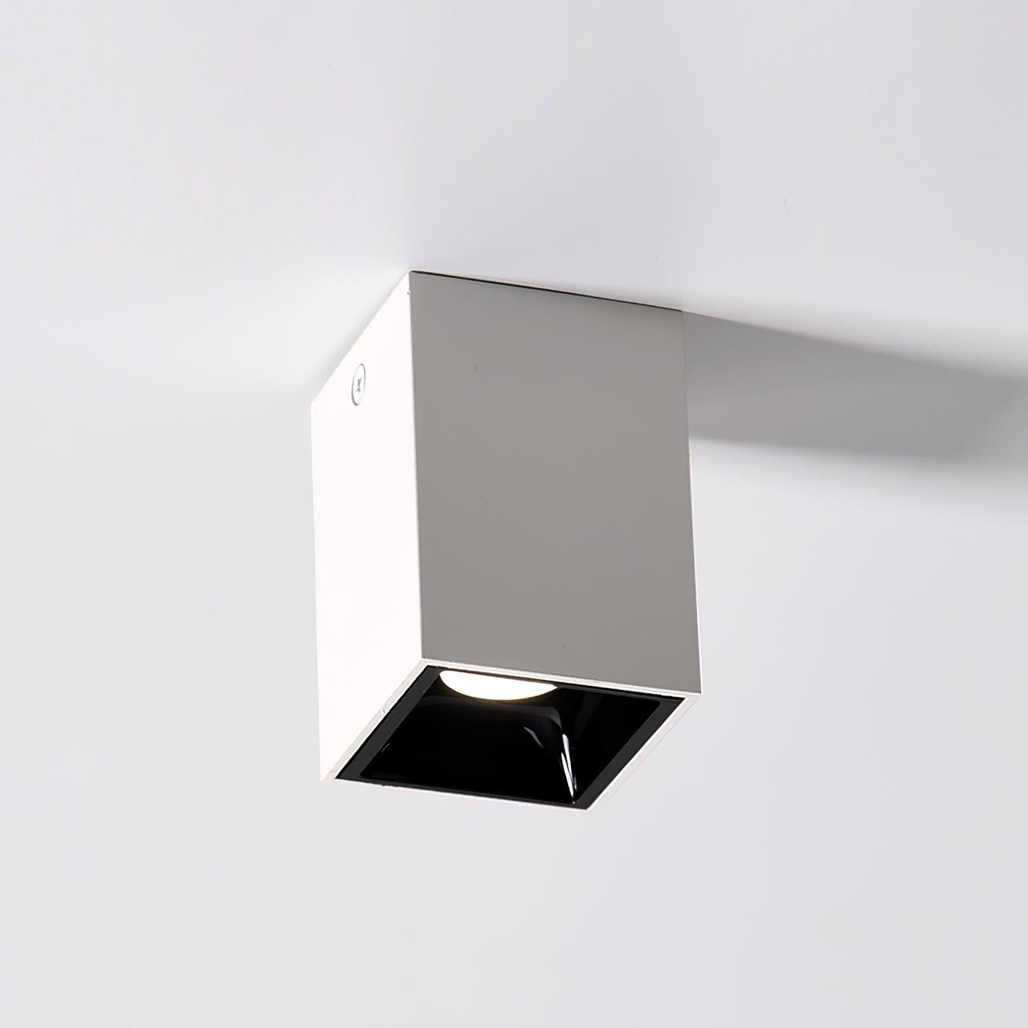 Cublo Plafondlamp