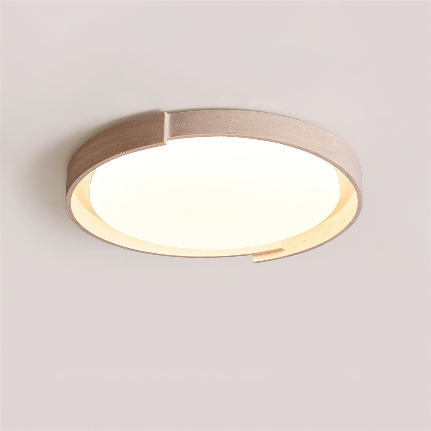 Delzay Plafondlamp