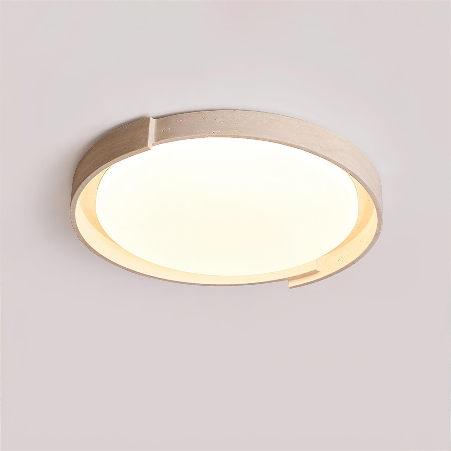Delzay Plafondlamp