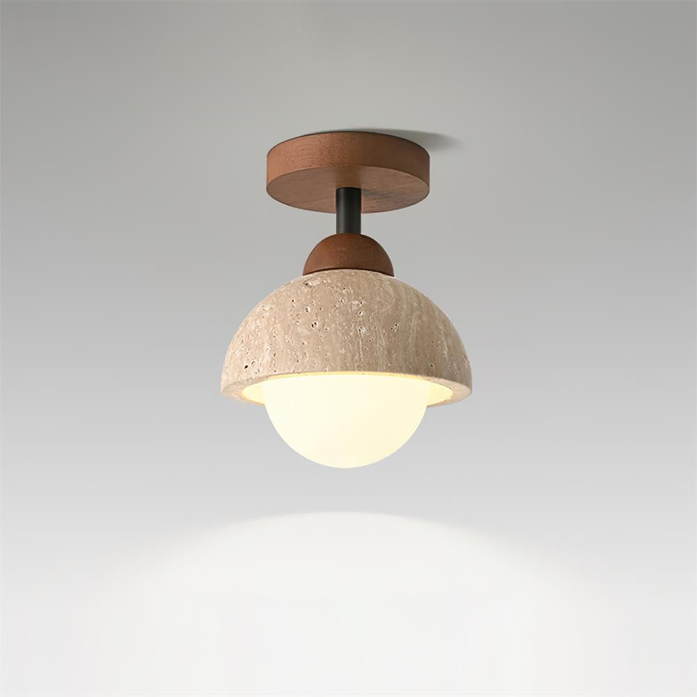 Delvoro Plafondlamp