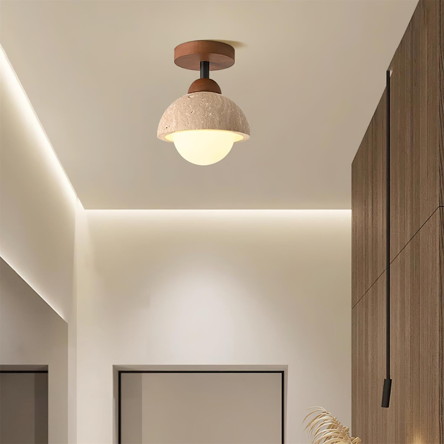 Delvoro Plafondlamp