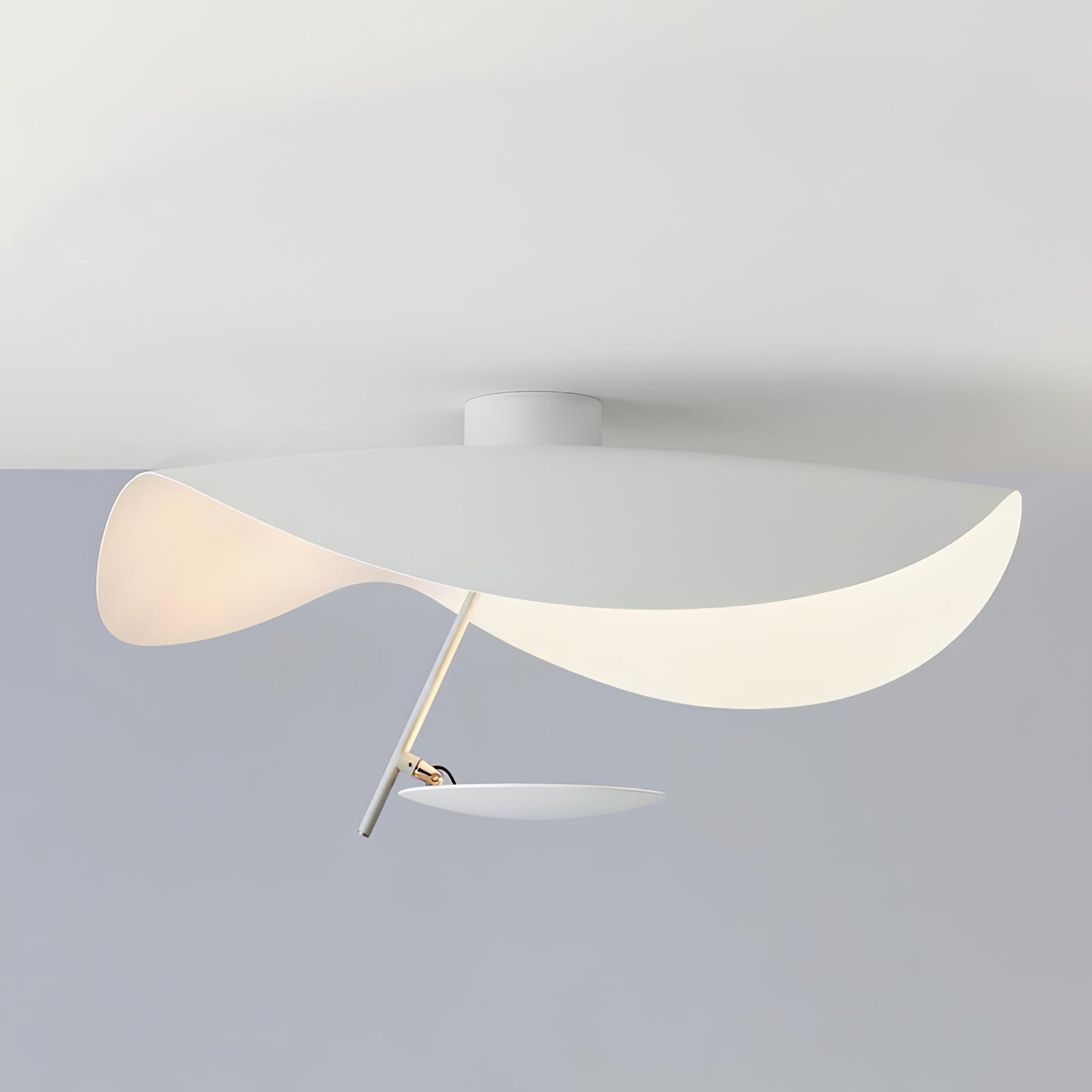 Georgoa Plafondlamp