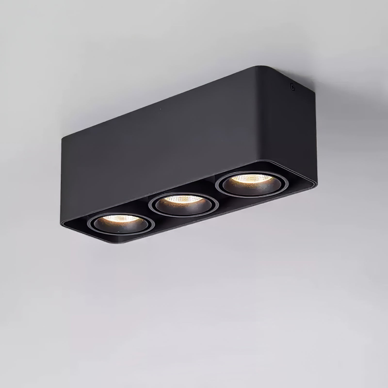 Dolzor Plafondlamp