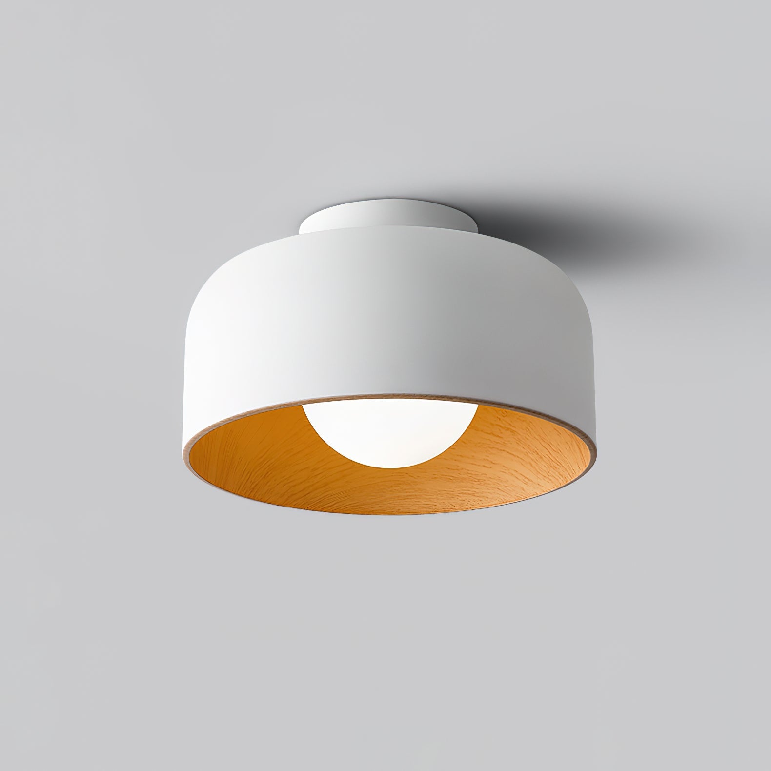 Zarnivo Plafondlamp