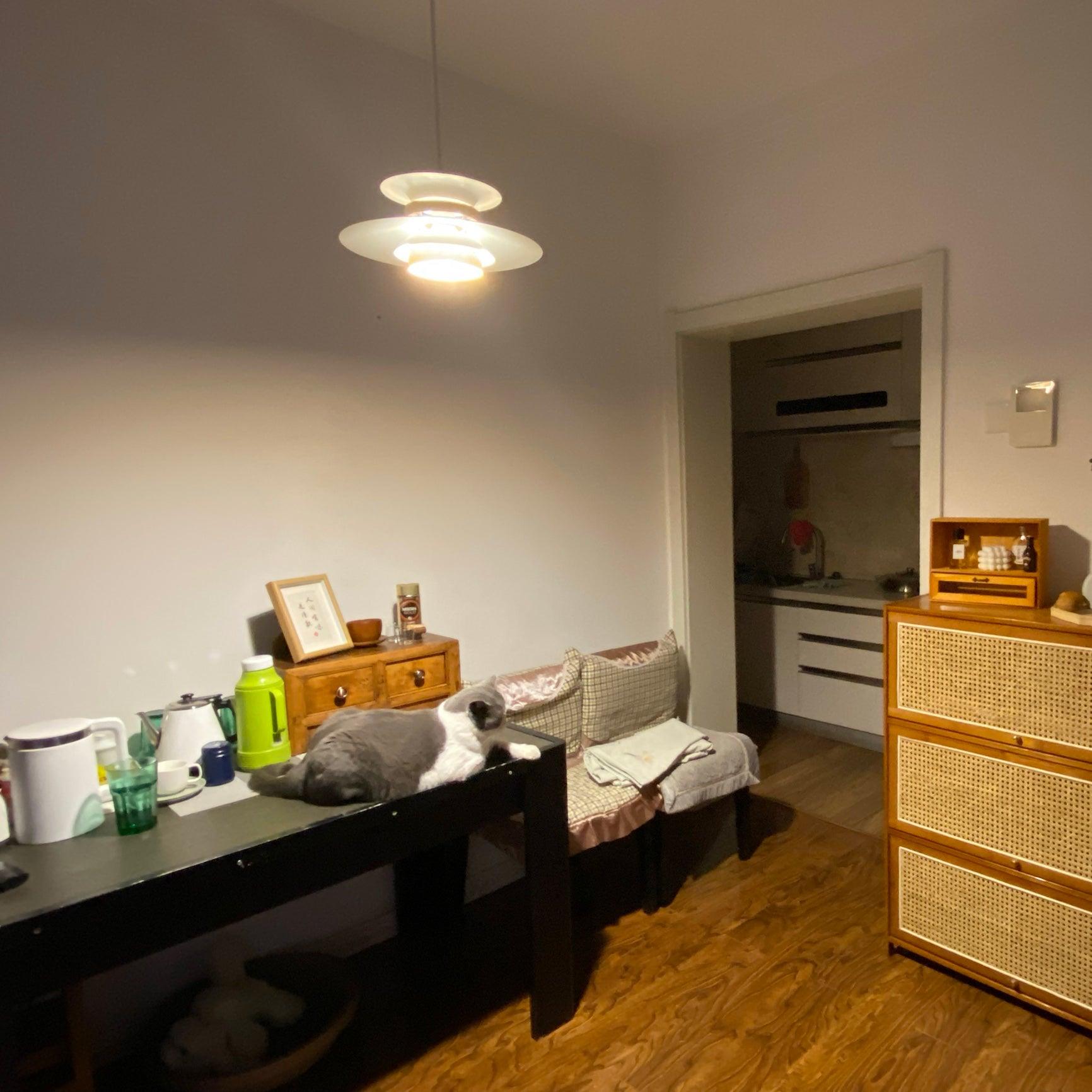 Macero Elegante Hanglamp