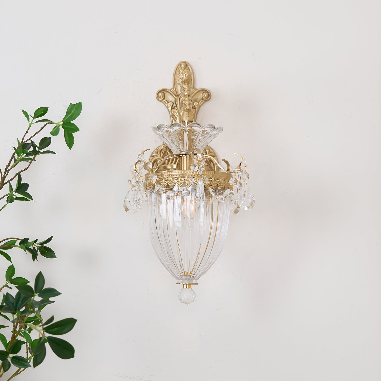 Musas Wandlamp