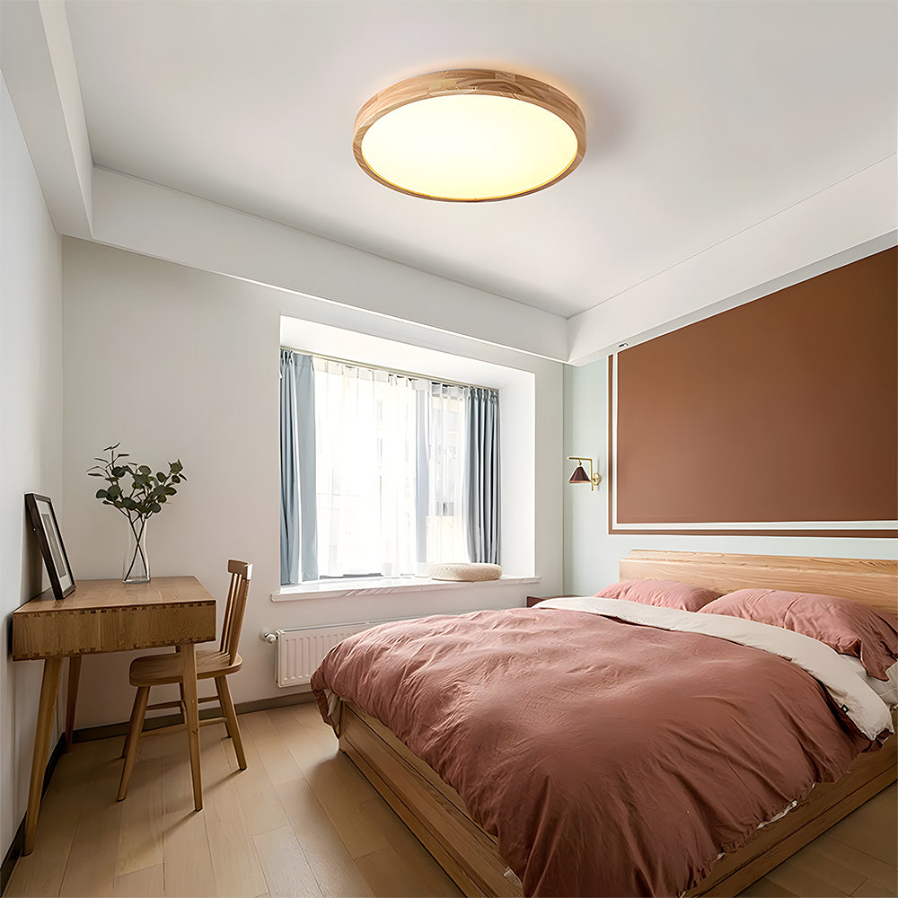 Erlivon Plafondlamp