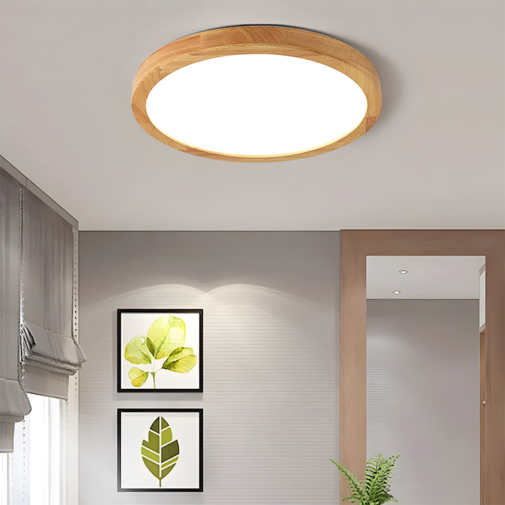 Erlivon Plafondlamp