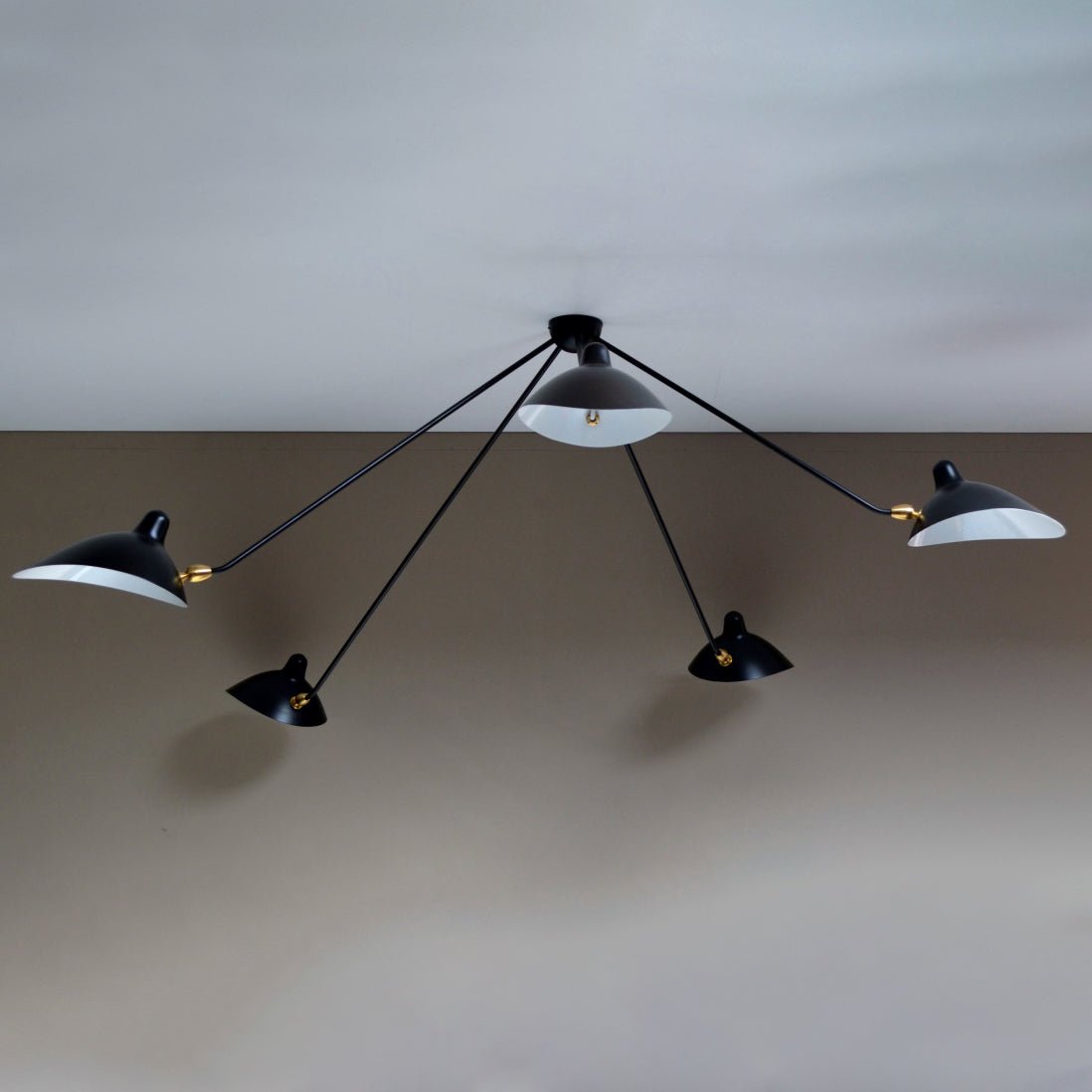 Sergun Plafondlamp