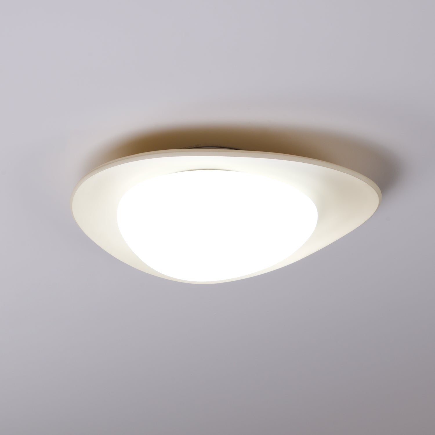 Fiolyn Leaf Plafondlamp
