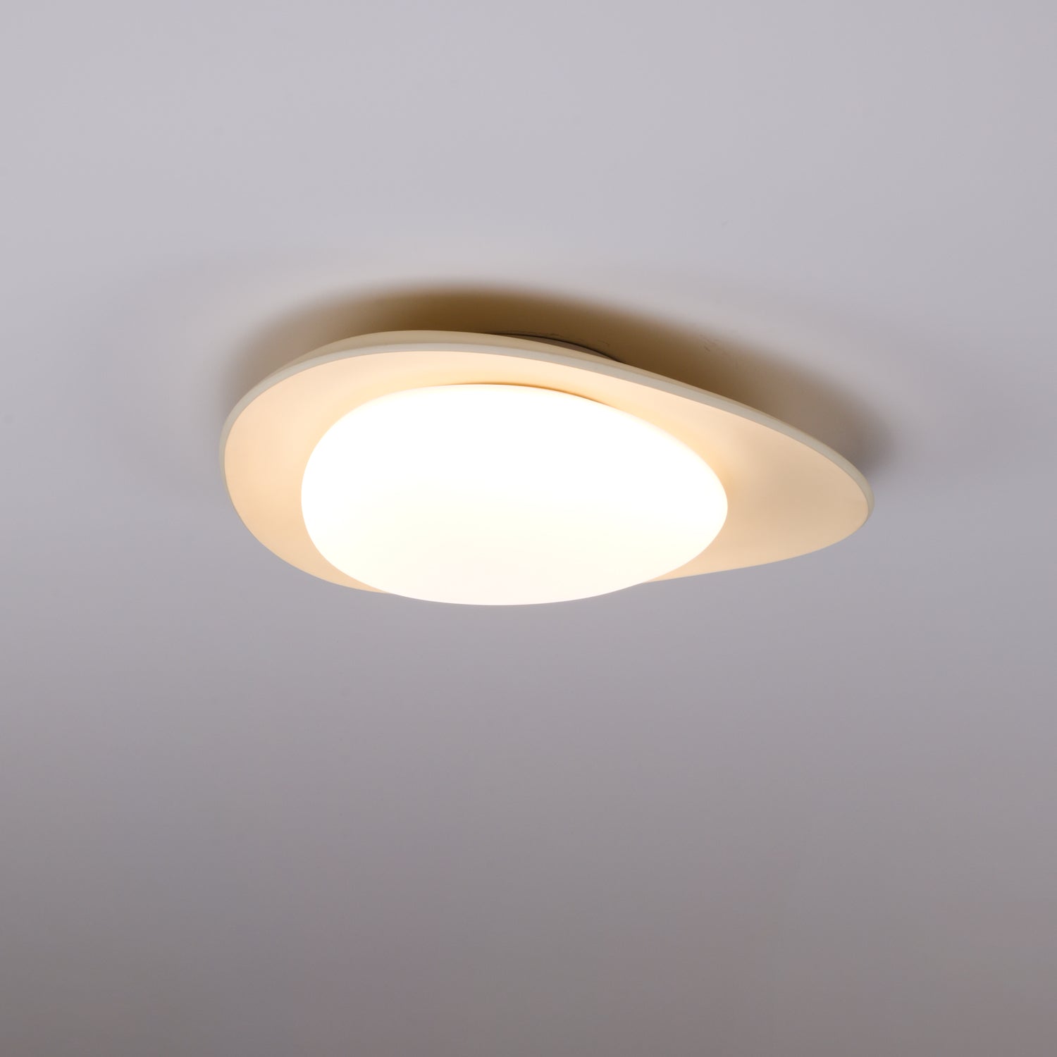 Fiolyn Leaf Plafondlamp