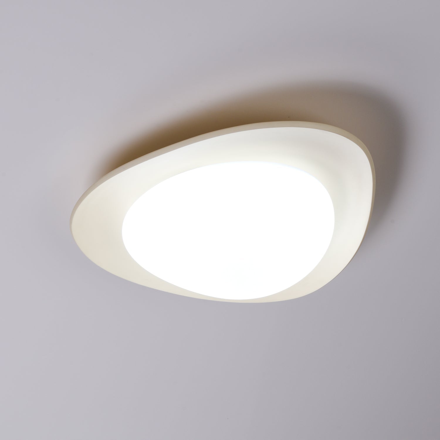 Fiolyn Leaf Plafondlamp