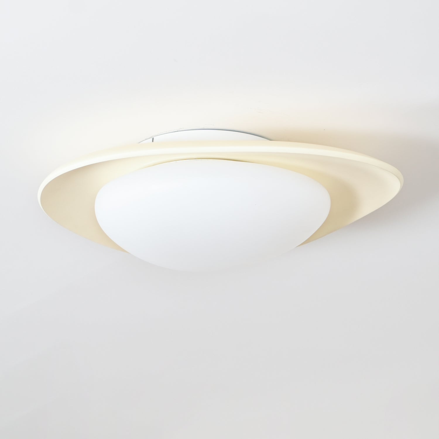 Fiolyn Leaf Plafondlamp
