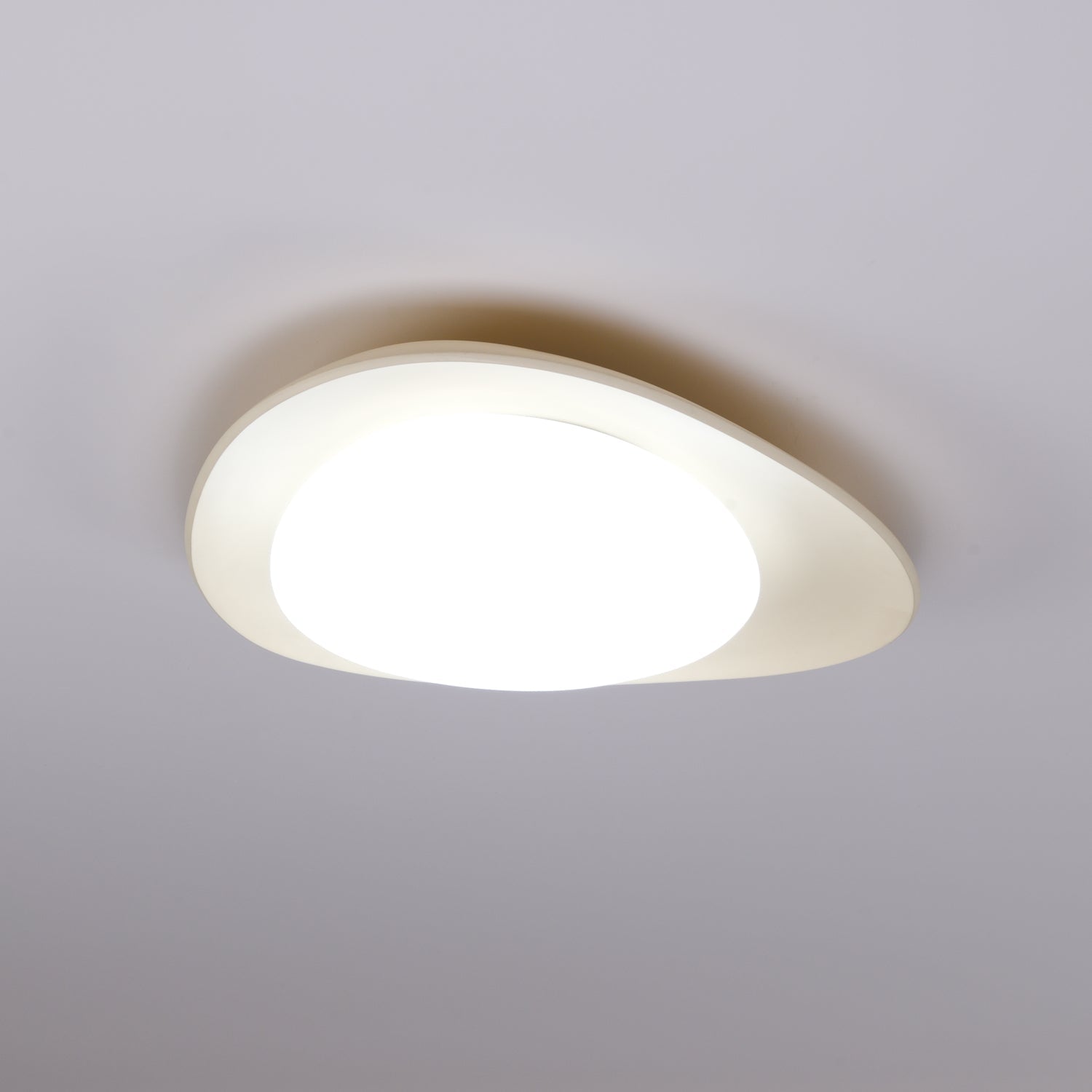 Fiolyn Leaf Plafondlamp
