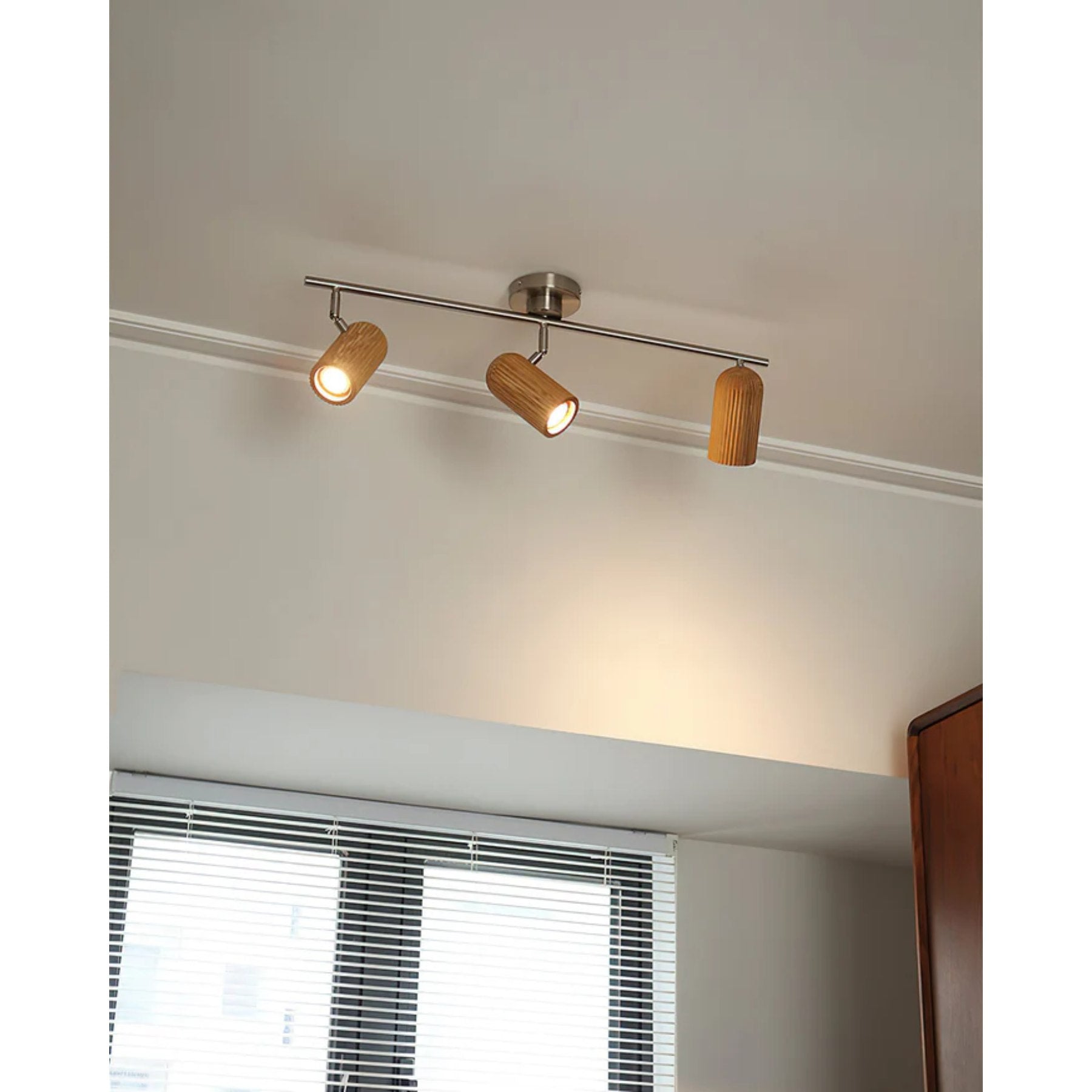 Trevizo Plafondlamp