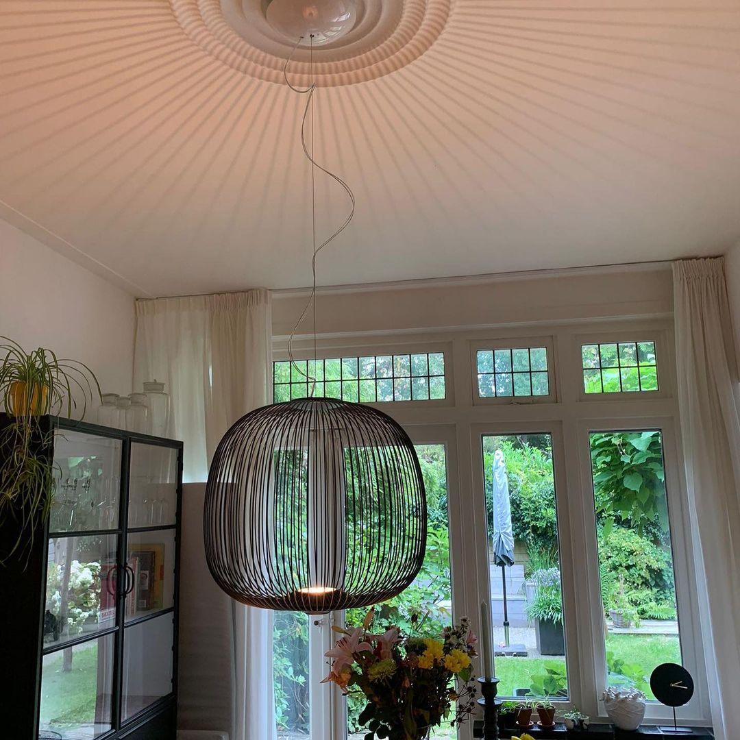 Enloria Cage Hanglamp
