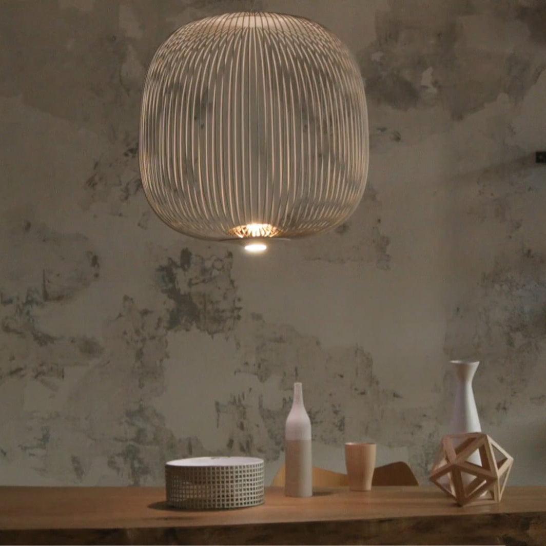 Enloria Cage Hanglamp